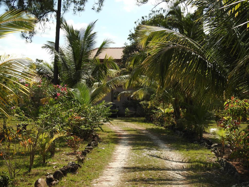 Becks Bed & Breakfast Crooked Tree Exteriér fotografie