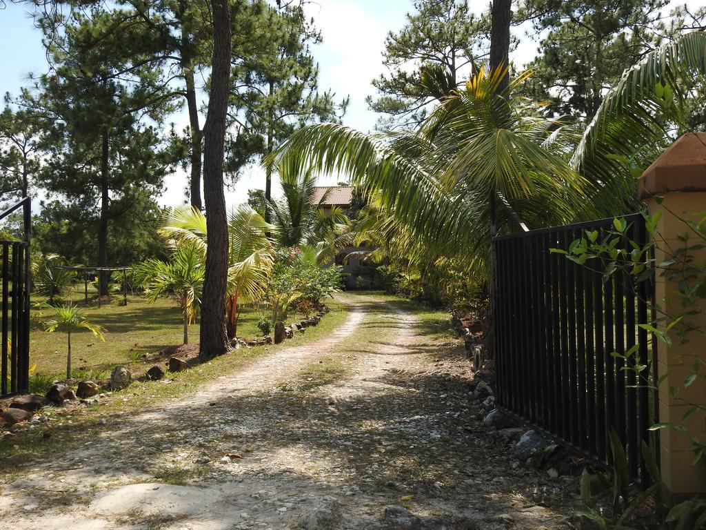 Becks Bed & Breakfast Crooked Tree Exteriér fotografie